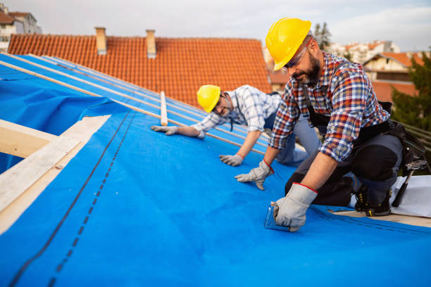 Best Roof Insulation Installation  in West Pleasant View, CO