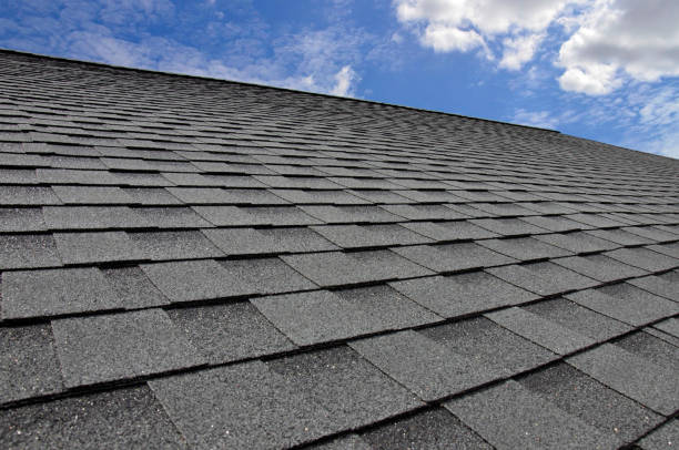 Trusted West Pleasant View, CO Roofing service Experts